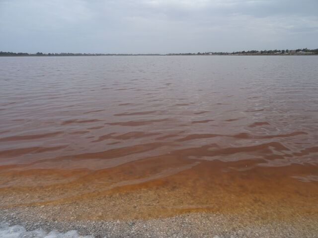 Lac Rose