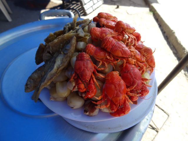 Tarija