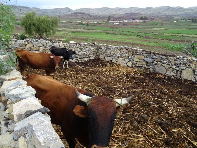 Maragua