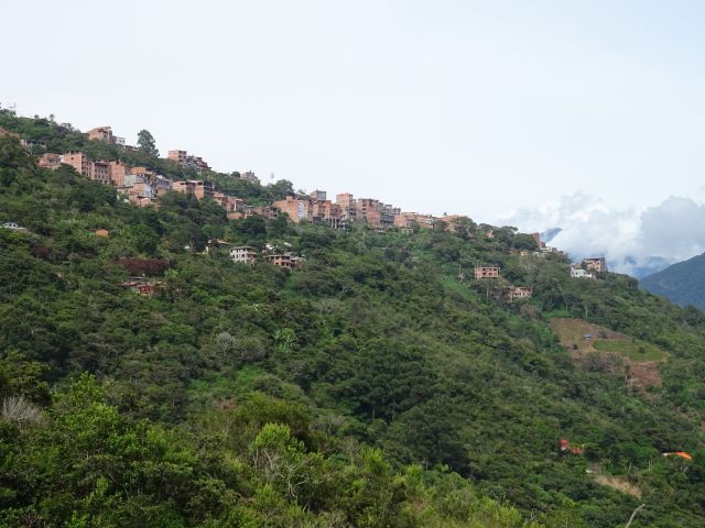 Coroico