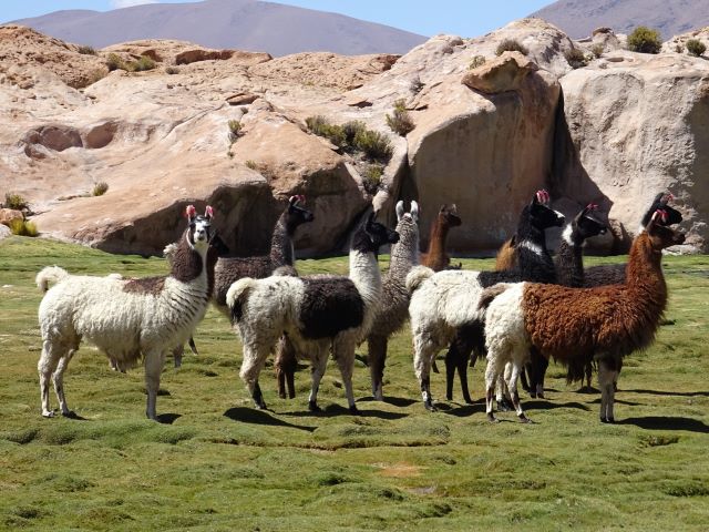 Uyuni