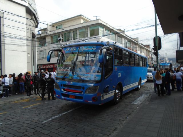 bus