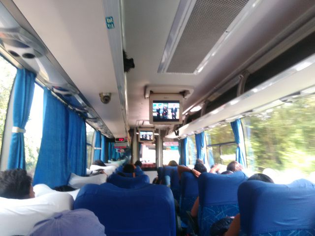 bus