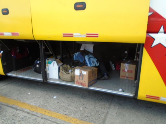bus