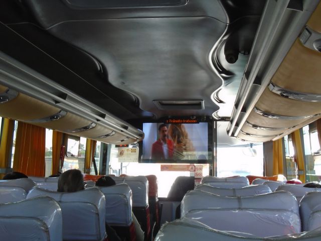 bus