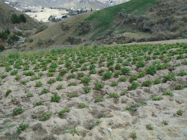 lagune de Quilotoa