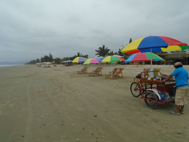 Plage d'Olon