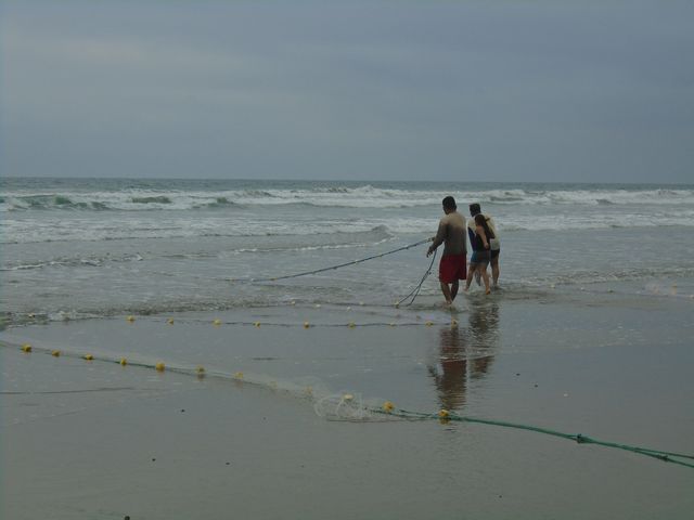 Pêcheurs à pied à Olon