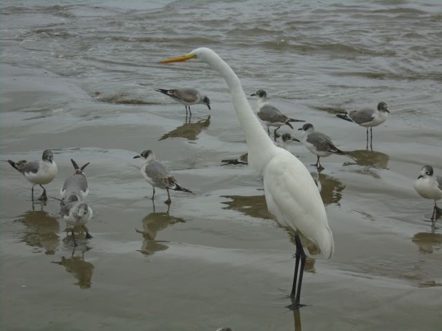 Puerto Lopez