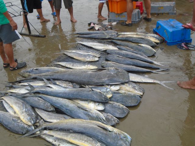 Puerto Lopez