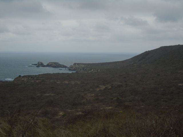Isla de la Plata
