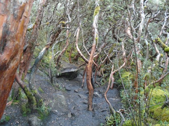 Parc de Las Cajas