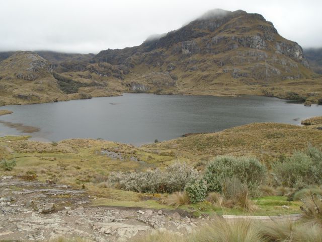 Parc de Las Cajas