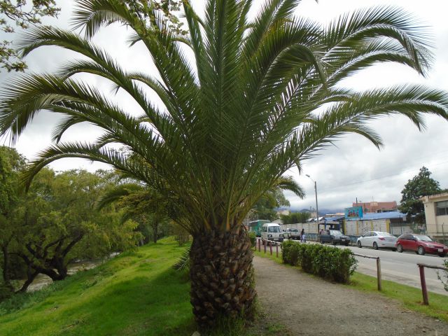 Loja