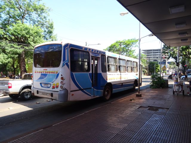 bus