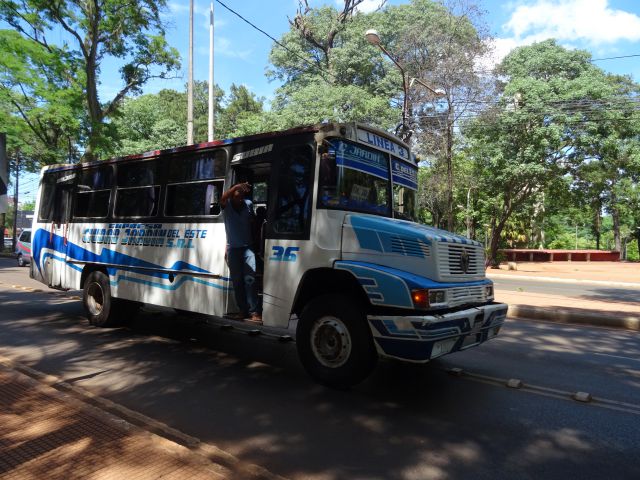 bus