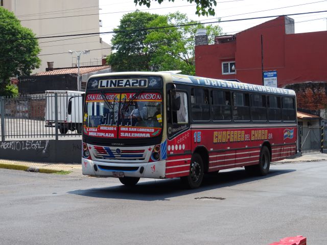 bus