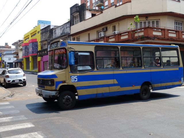 bus