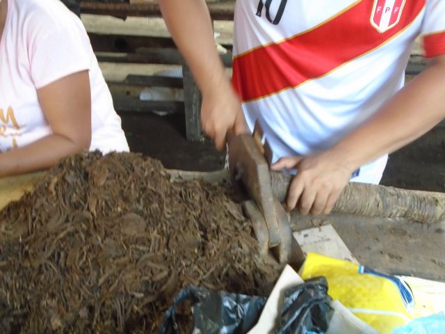 Iquitos