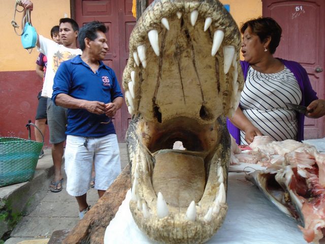 Iquitos