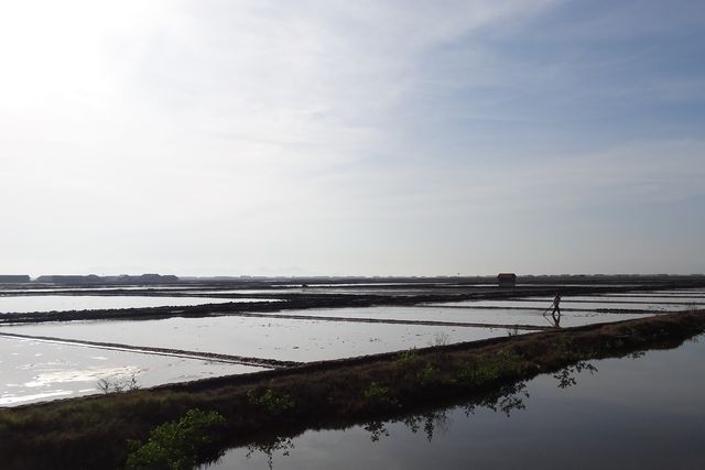 Marais salants à Kampot