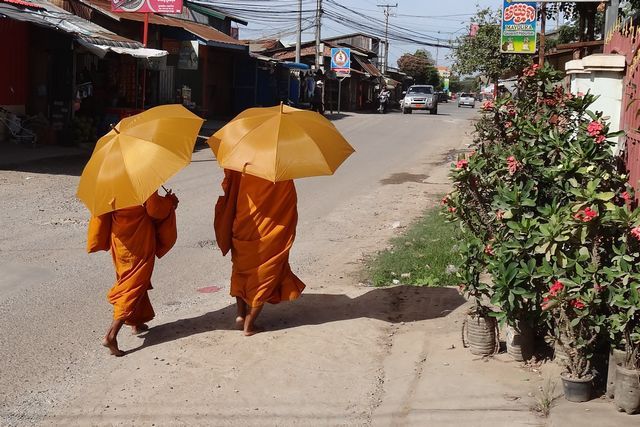 Moines se protégeant du soleil avec un parapluie