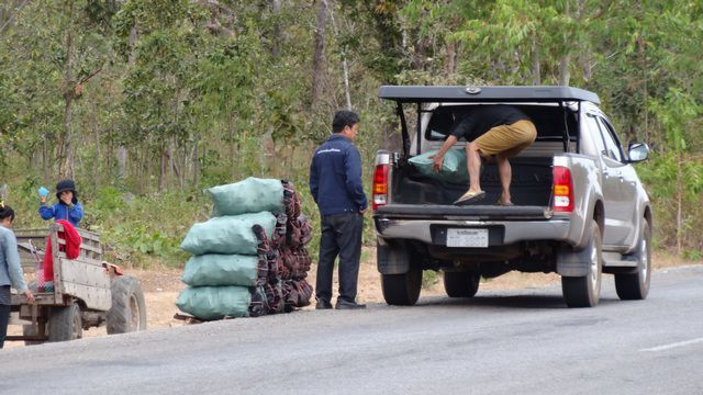 Vente de charbon de bois