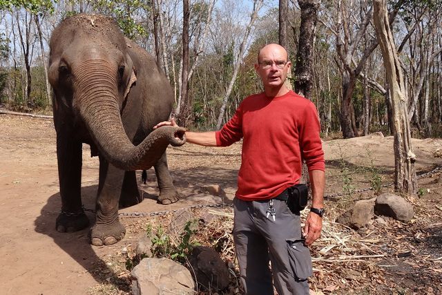 Moi en train de carresser la trompe d'un éléphant
