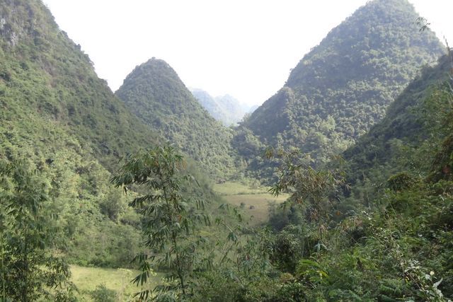 Végétation dense sur les collines alentours