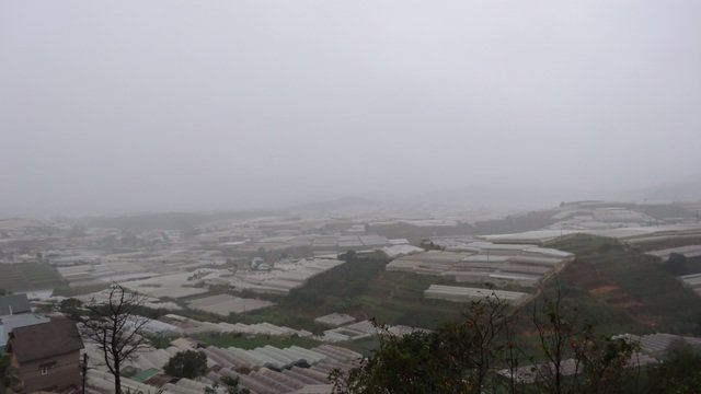 Serres sous la brume, dans la région de Dalat